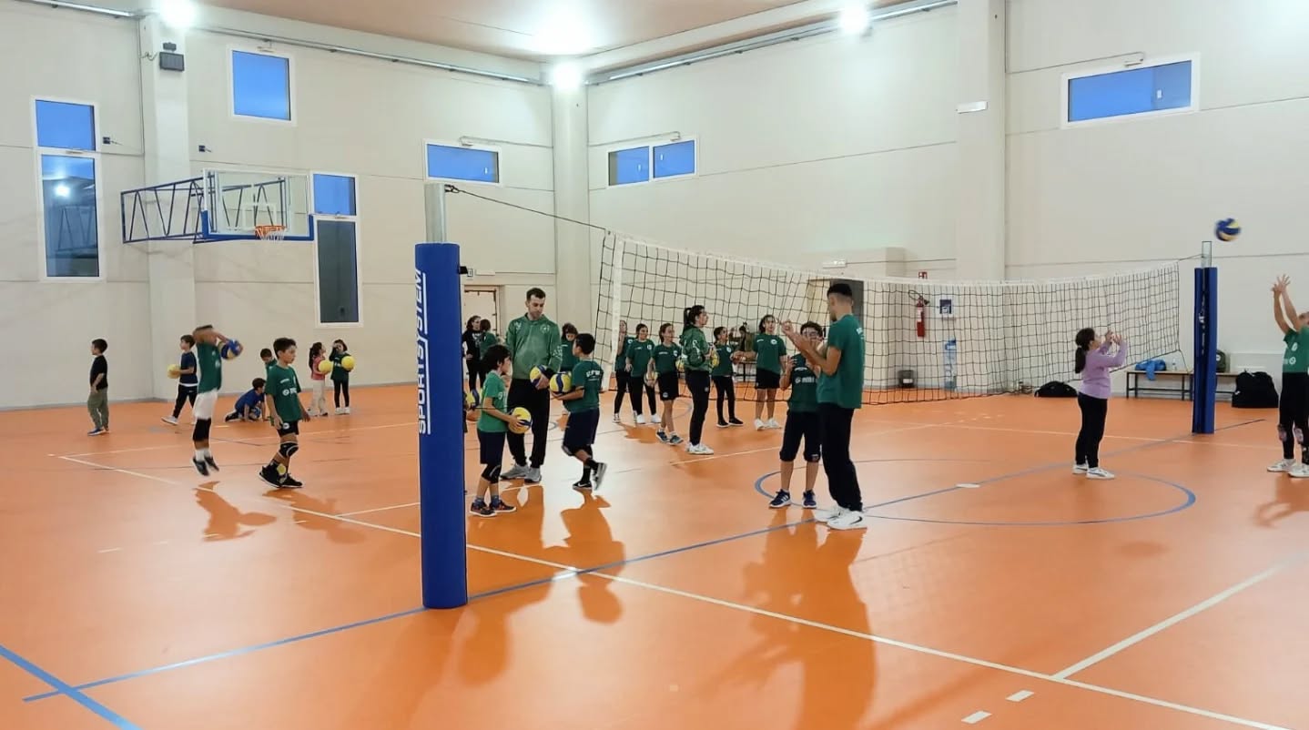 🏐 I piccoli del Volley S3... il nostro futuro! 🤍💚 Aperti i corsi maschili e femminili della Scuola Volley Showy Boys Galatina.