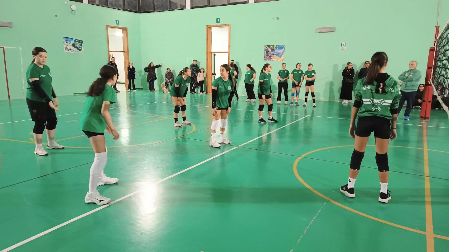🤍💚 Scuola Volley Showy Boys Galatina 🏐 Entra in squadra!