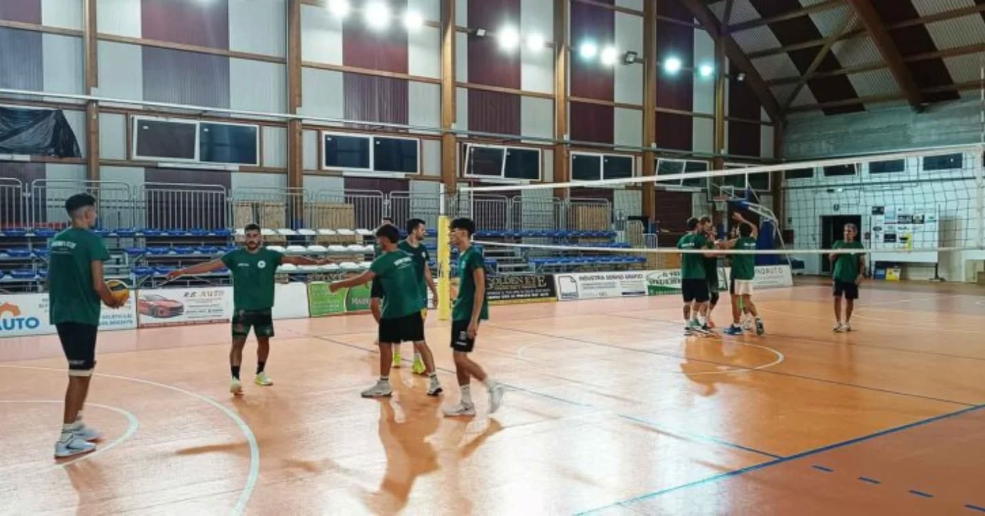 Serie C: i numeri di maglia dei biancoverdi
🏐 www.showyboys.com