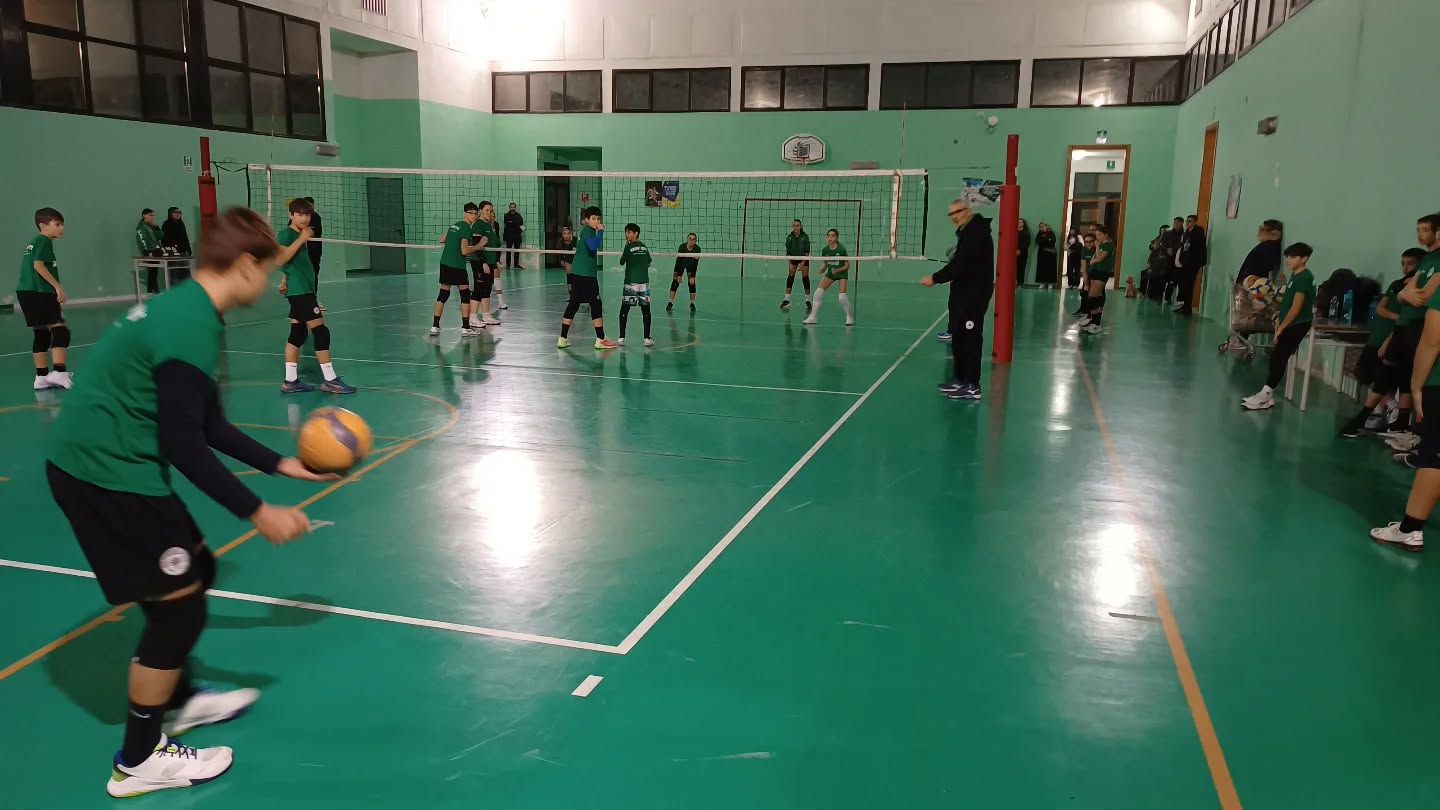 🤍💚 Scuola Volley Showy Boys Galatina 🏐 Entra in squadra!