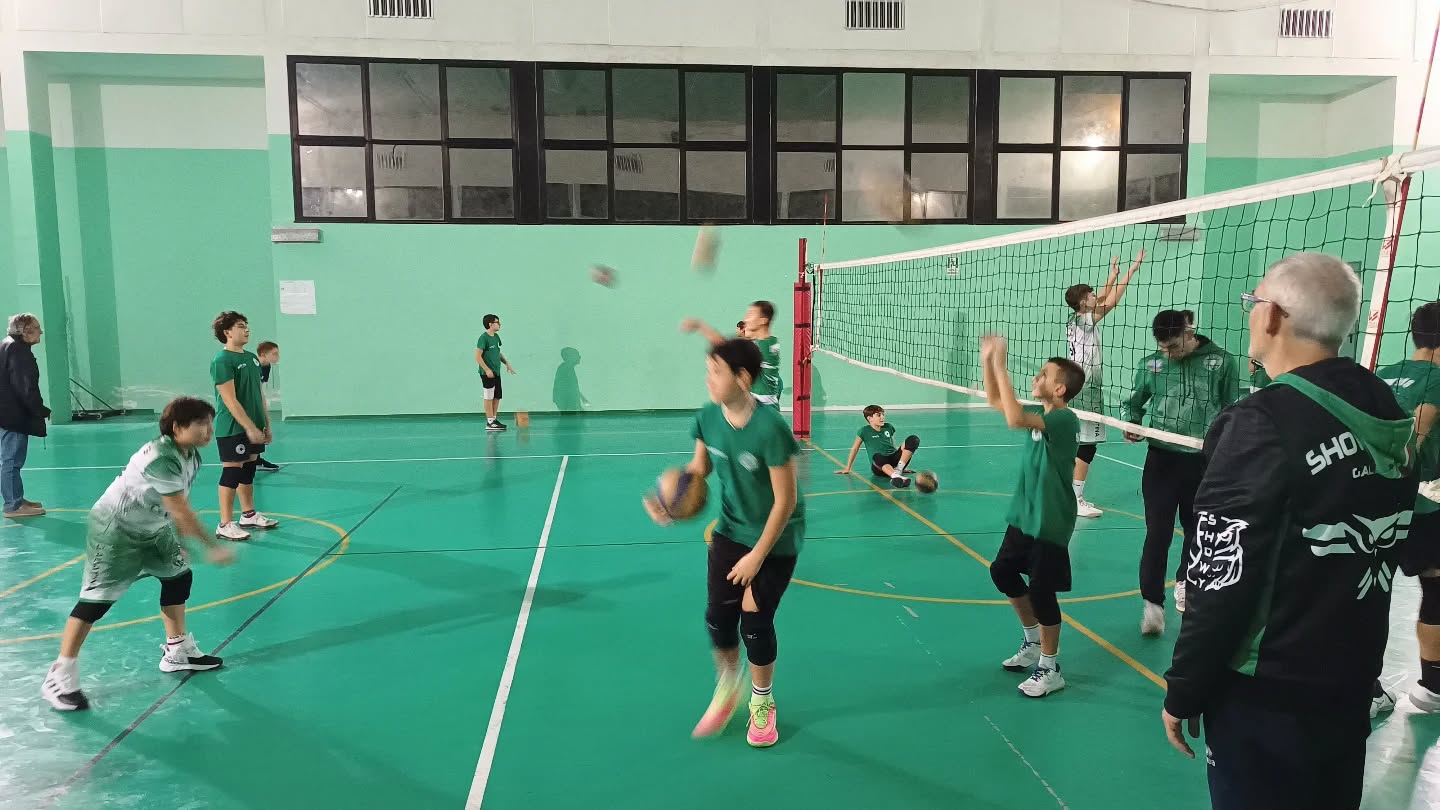 🏐 Scuola Volley Showy Boys Galatina 🤍💚 Entra in squadra!