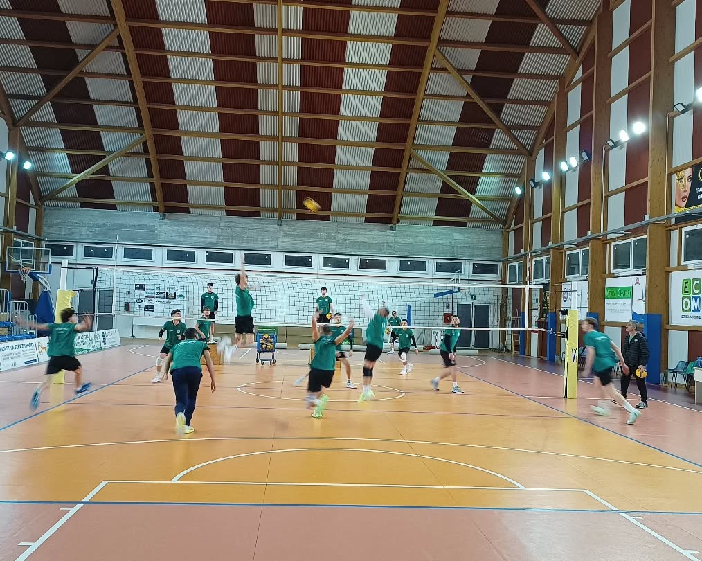 🤍💚 Serie C - Ecom Showy Boys Galatina 🏐