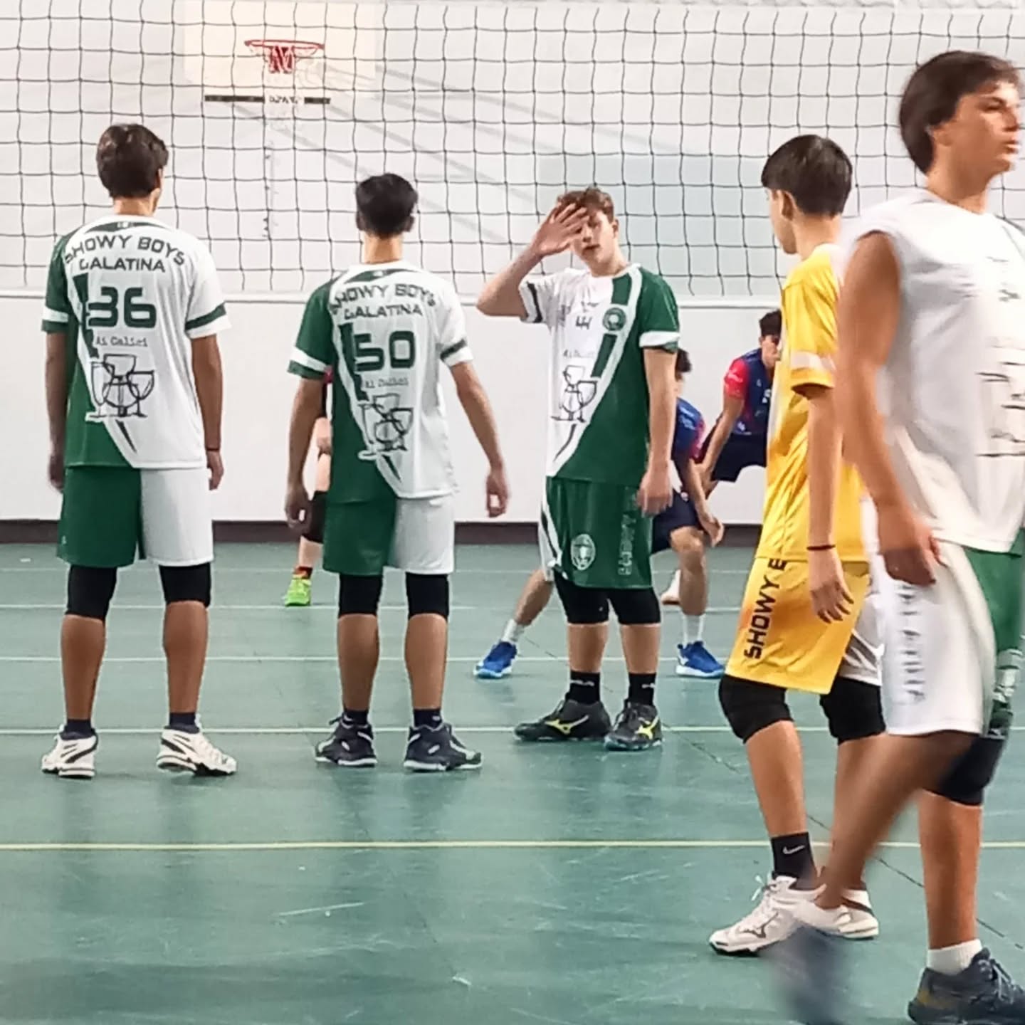 🏐 Scuola Volley Showy Boys Galatina 🤍💚 Entra in squadra!