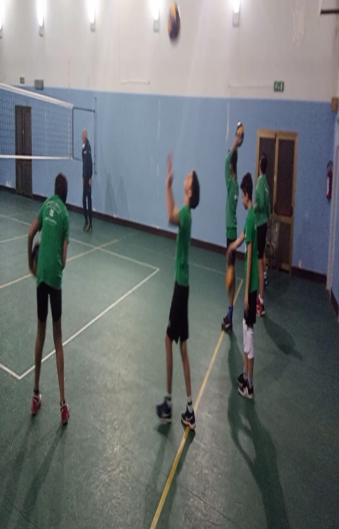 Scuola Volley Showy Boys 🤍💚 #siamolashowy #verovolleymonza #galatina #identita #tradizione #giocaconnoi #bedifferent #culturasportiva #iotifoshowy #biancoverdi #marchiodiqualita #fipav #dal1967 #volley @verovolleynetwork
