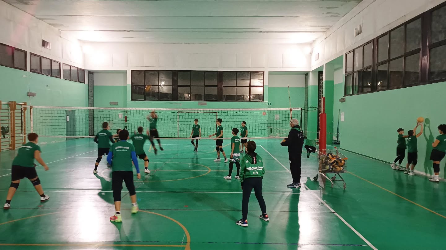 🤍💚 Scuola Volley Showy Boys Galatina 🏐 Entra in squadra!
