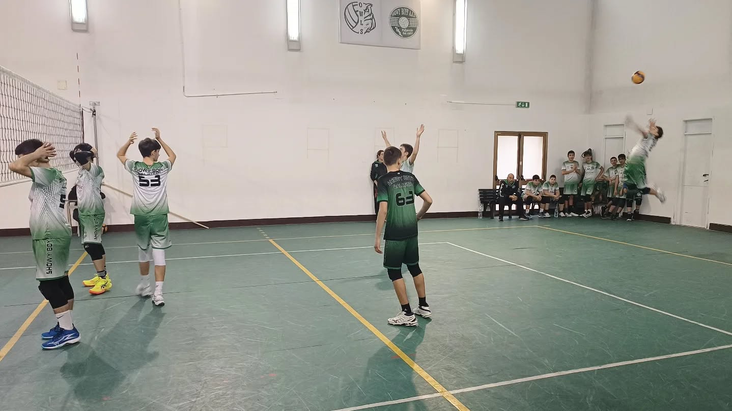 🤍💚 Showy Boys Galatina Scuola Volley 🏐 ...in campo
🏐 www.showyboys.com